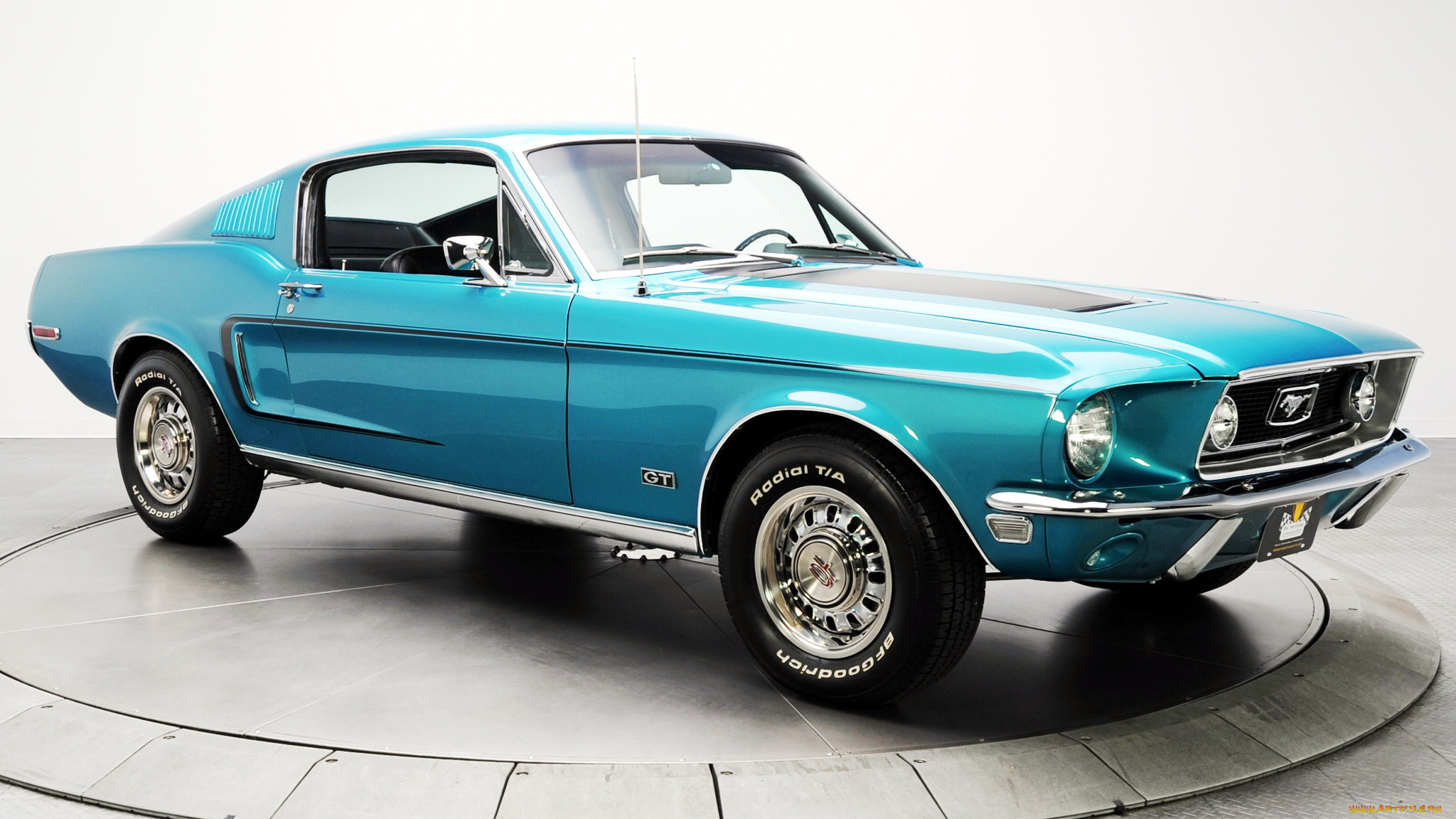 mustang, 